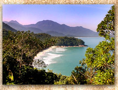 Praia Brava da Almada/Ubatuba