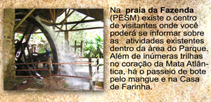 Roda d'gua na casa da Farinha/Fazenda