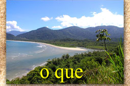 Praia da Fazenda/Ubatuba